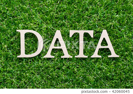 Wood alphabet in word data on green grass Wood alphabet in word data on green grass 42060045