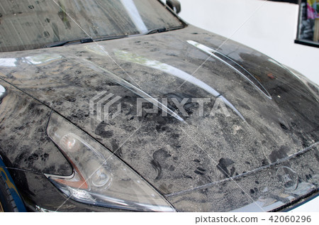 Dust  hood of car 42060296