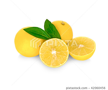 lime slice isolated on white background lime slice isolated on white background 42060456