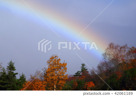 Late autumn rainbow 42061189