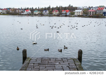 Scenery of Lake Tjornin in Reykjavik, the capital of Iceland 42061410