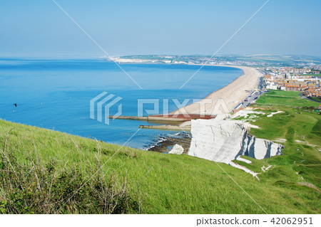 White chalk cliffs in Seaford Head White chalk cliffs in Seaford Head 42062951