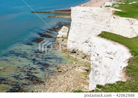 White chalk cliffs in Seaford Head White chalk cliffs in Seaford Head 42062986
