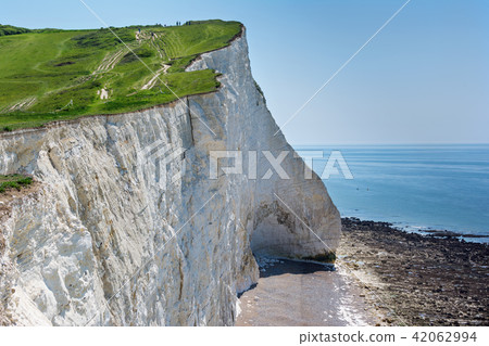 White chalk cliffs in Seaford Head White chalk cliffs in Seaford Head 42062994