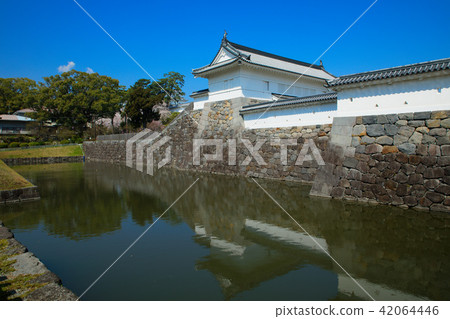 小田原城的護城河和櫻花盛開 小田原城的護城河和櫻花盛開 42064446