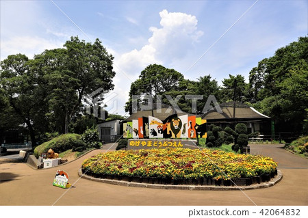 Nogeyama zoo 42064832