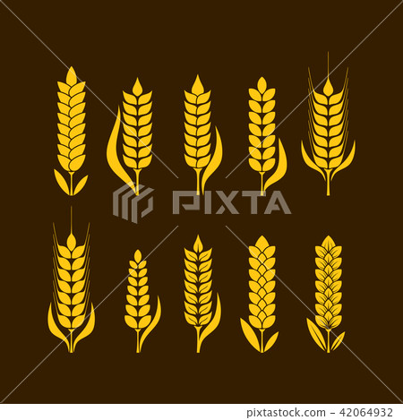 Logo and symbol of wheat for Thanksgiving Day Logo and symbol of wheat for Thanksgiving Day 42064932