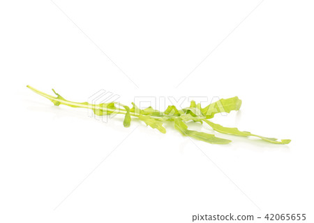 Fresh Raw Arugula (rucola) isolated on white 42065655