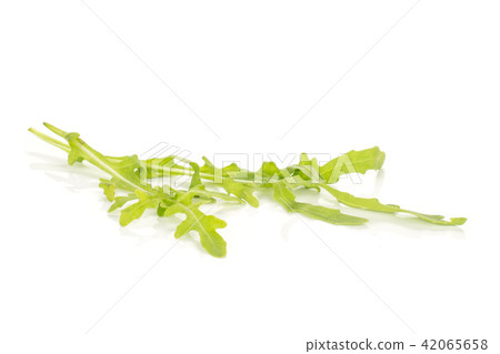 Fresh Raw Arugula (rucola) isolated on white 42065658