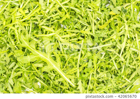 Fresh Raw Arugula (rucola) isolated on white 42065670