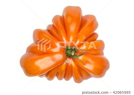 Fresh Raw Beef Tomato isolated on white Fresh Raw Beef Tomato isolated on white 42065995