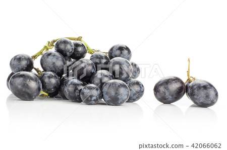 Fresh Black Wine Grapes isolated on white Fresh Black Wine Grapes isolated on white 42066062