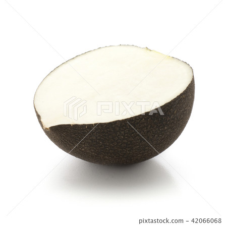 Black radish isolated on white 42066068