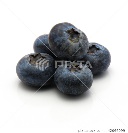 Bog billberry isolated on white Bog billberry isolated on white 42066099