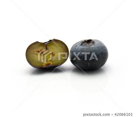 Bog billberry isolated on white 42066101