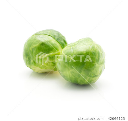 Boiled brussels sprout isolated Boiled brussels sprout isolated 42066123