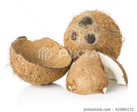 Fresh brown coconut isolated on white 42066172