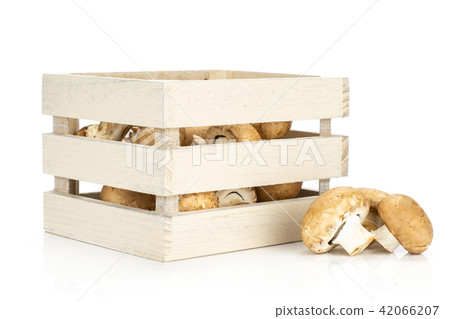 Fresh raw brown champignons isolated on white Fresh raw brown champignons isolated on white 42066207