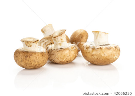 Fresh raw brown champignons isolated on white 42066230