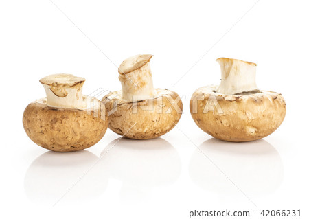 Fresh raw brown champignons isolated on white 42066231