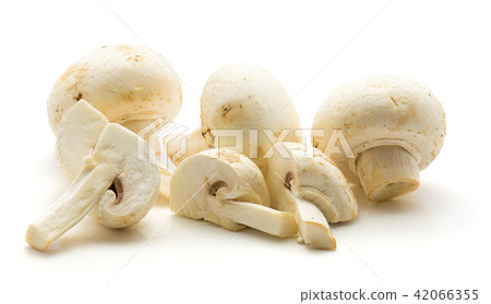 Raw champignons isolated on white 42066355