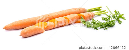Raw carrot isolated on white 42066412