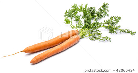 Raw carrot isolated on white Raw carrot isolated on white 42066454