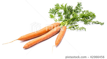 Raw carrot isolated on white Raw carrot isolated on white 42066456
