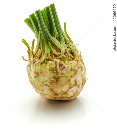 Fresh celery isolated on white Fresh celery isolated on white 42066470