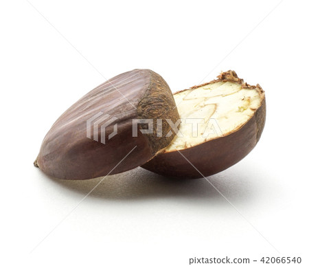 Raw edible Chestnut isolated on white 42066540