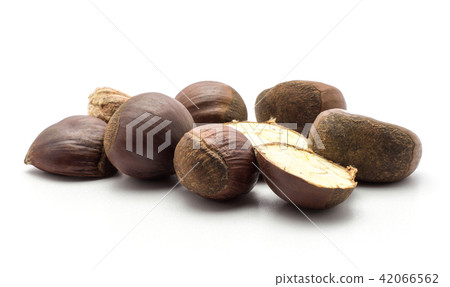 Raw edible Chestnut isolated on white Raw edible Chestnut isolated on white 42066562