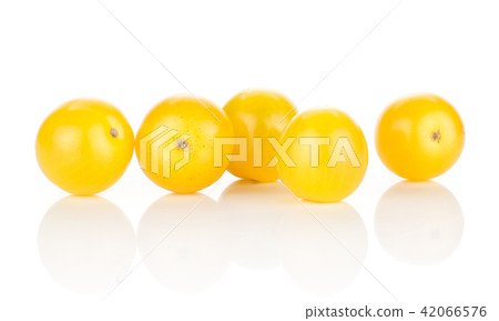Fresh cherry tomato isolated on white Fresh cherry tomato isolated on white 42066576