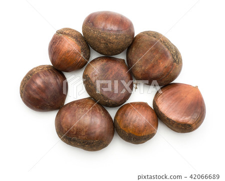 Raw edible Chestnut isolated on white Raw edible Chestnut isolated on white 42066689