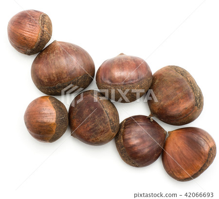 Raw edible Chestnut isolated on white Raw edible Chestnut isolated on white 42066693