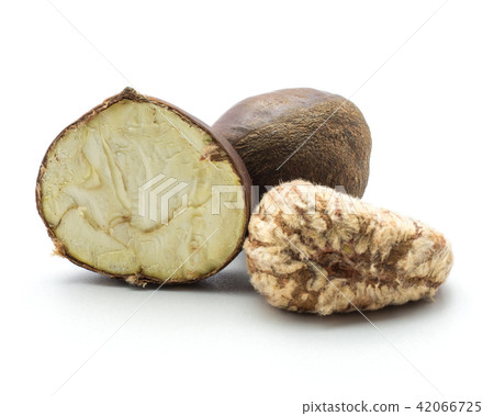 Raw edible Chestnut isolated on white Raw edible Chestnut isolated on white 42066725
