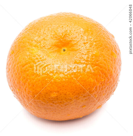 Fresh clementine isolated on white 42066848