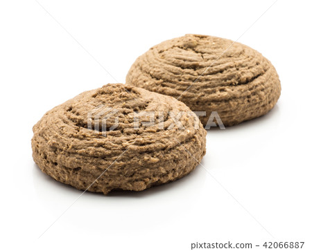 Coco cookie isolated on white 42066887