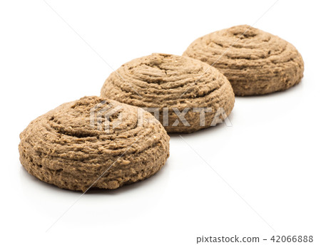 Coco cookie isolated on white 42066888