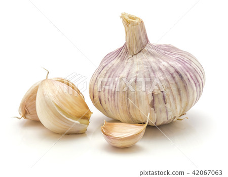 Common garlic isolated on white 42067063
