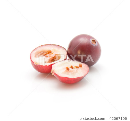 Fresh Cranberry isolated on white Fresh Cranberry isolated on white 42067106