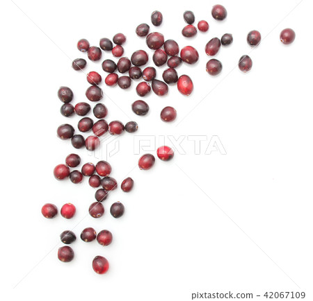 Fresh Cranberry isolated on white Fresh Cranberry isolated on white 42067109