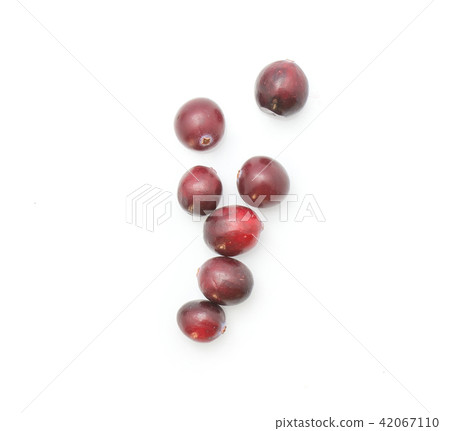 Fresh Cranberry isolated on white 42067110