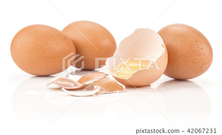 Fresh Chicken Egg isolated on white Fresh Chicken Egg isolated on white 42067231