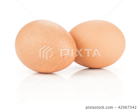 Fresh Chicken Egg isolated on white Fresh Chicken Egg isolated on white 42067342