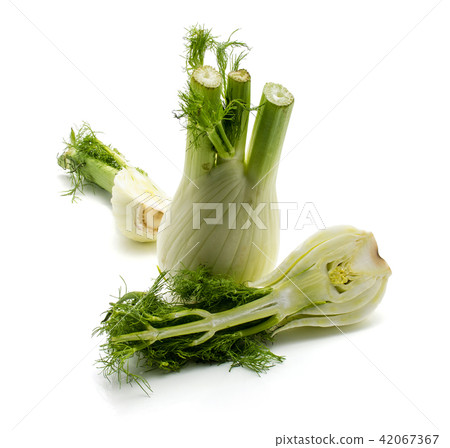 Fresh fennel isolated on white 42067367