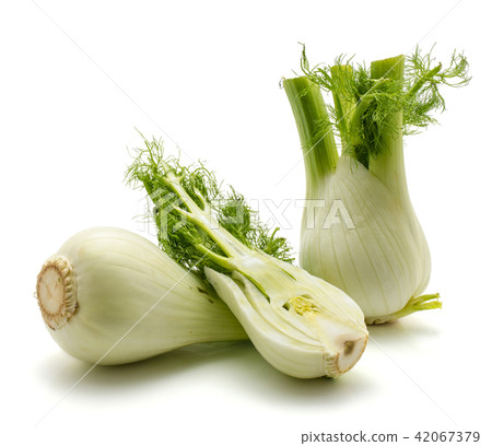 Fresh fennel isolated on white 42067379