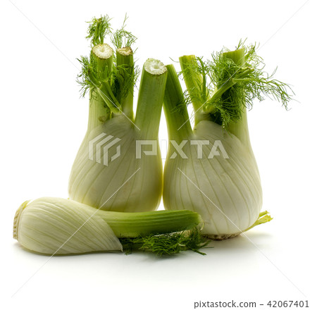 Fresh fennel isolated on white Fresh fennel isolated on white 42067401