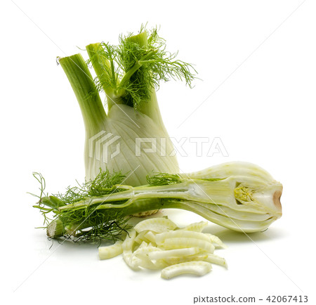 Fresh fennel isolated on white Fresh fennel isolated on white 42067413