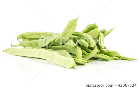 Fresh Flat Green Bean isolated on white Fresh Flat Green Bean isolated on white 42067524