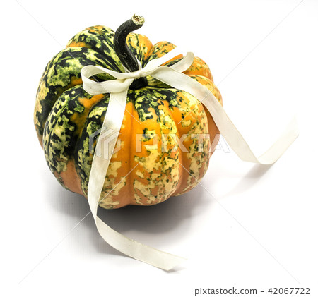 Green pumpkin isolated on white Green pumpkin isolated on white 42067722